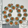 TN-CL10.gif