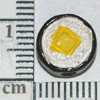 TN-TT558.gif