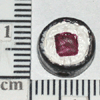 TN-TT559.gif