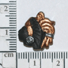 TN-TT606.gif