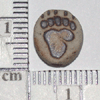 TN-TT634.gif