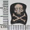 TN-TT657.gif