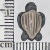 TN-TT663.gif