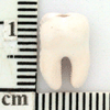 TN-TT689.gif