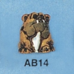 ab14.jpg