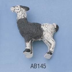 ab145.jpg