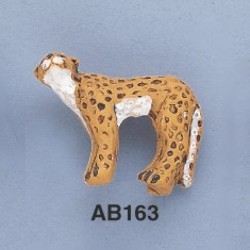 ab163.jpg