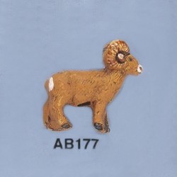 ab177.jpg