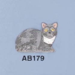 ab179.jpg