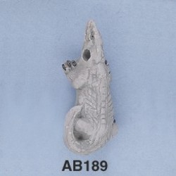 ab189.jpg