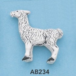 ab234.jpg