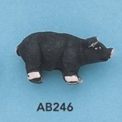 ab246.jpg
