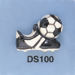 ds100.jpg