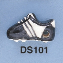 ds101.jpg