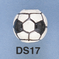 ds17.jpg
