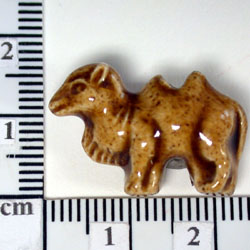 ds202.jpg