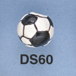ds60.jpg