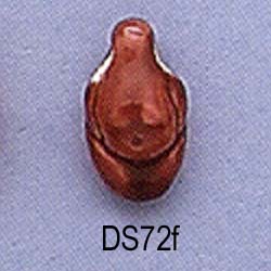 ds72f.jpg