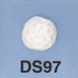 ds97.jpg