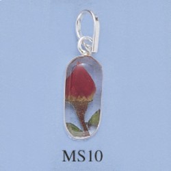 ms10.jpg