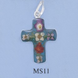 ms11.jpg