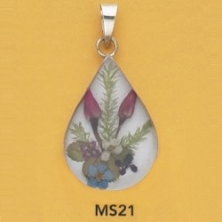 ms21.jpg