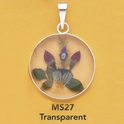 ms27.jpg