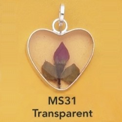 ms31.jpg