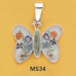 ms34.jpg