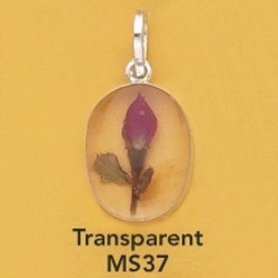 ms37.jpg