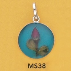 ms38.jpg