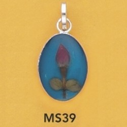ms39.jpg