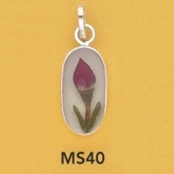 ms40.jpg