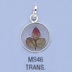 ms46.jpg