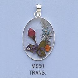 ms50.jpg