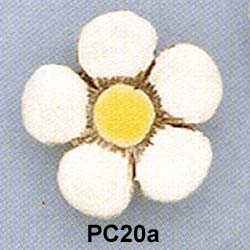 pc20a.jpg