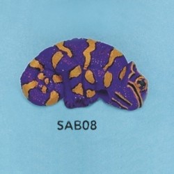 sab08.jpg