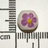 tn-BB60.gif