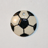 tn-DS17pendant.gif