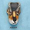 tn-ab269.gif