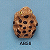 tn-ab58.gif