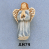 tn-ab76.gif