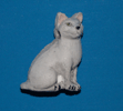 tn-abcatwhite1.gif