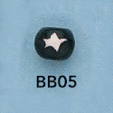 tn-bb05.gif