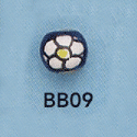 tn-bb09.gif