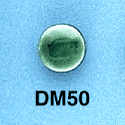 tn-dm50.gif