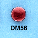 tn-dm56.gif