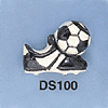 tn-ds100.gif