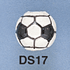 tn-ds17.gif