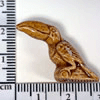 tn-ds215.gif